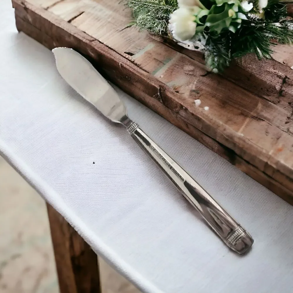 Reed & Barton Durham Butter Knife Stainless Everyday Glossy Silverware Flatware.